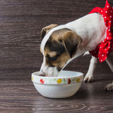 Organic Beef Broth Dog Food Topper