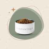 LuxiPawtique Metal Bowl