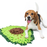 Avocado Snuffle Mat