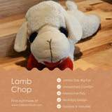 Lamb Chop