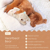 Warm Heartbeat Bear