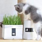 Cat Grass Growing Kit