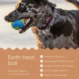 Earth Treat Ball