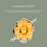 Pet Safe Flameless Pillar Candle Set of 9