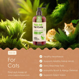 Fish Oil For Cats