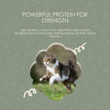 Instinct Original, Grain Free, Natural Kitten Recipe Wet Cat Food