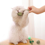 Catnip Toy Set