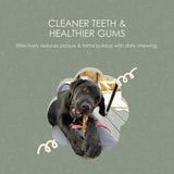 Whimzees dental treats