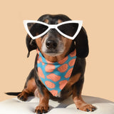 Dog Sunnies