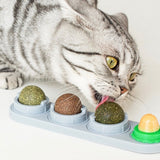 Catnip Toy Set