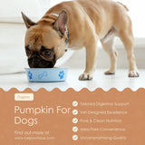 Organic Pumpkin For Dogs