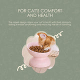 Elevated Cat Food Bowls