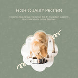 Beyond Organic Purina Dog Food