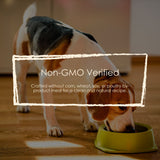 Beyond Organic Purina Dog Food