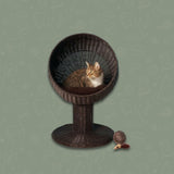 Wicker Modern Cat Bed - Espresso